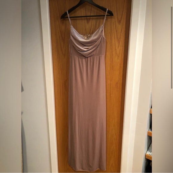 Revelry Champagne Skye Velvet Dress - FREE SHIPPING :) - Picture 3 of 6